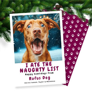 I Ate The Naughty List Dog Christmas Photo Holiday Card