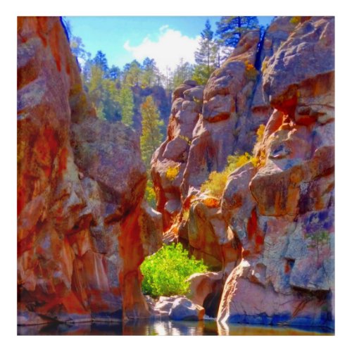 I bathe in cliffside pools with my calamitous love acrylic print