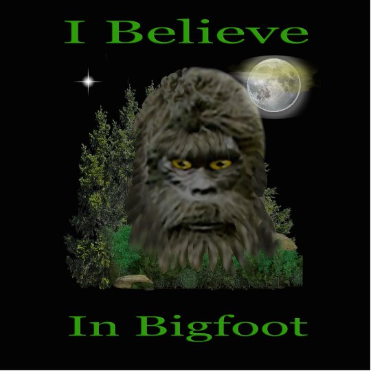I believe in Bigfoot Cutout | Zazzle.com