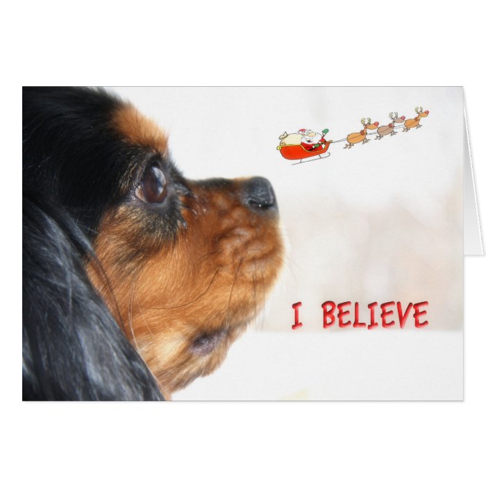 I Believe In Christmas With Cavalier King Charles Greeting Cards