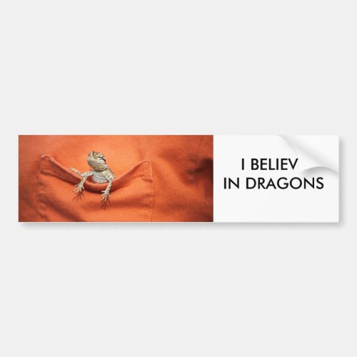 I believe in dragons bumper sticker bearded dragon