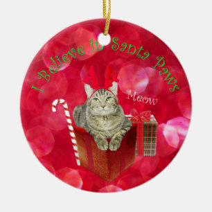 I Believe in Santa Paws Ceramic Ornament