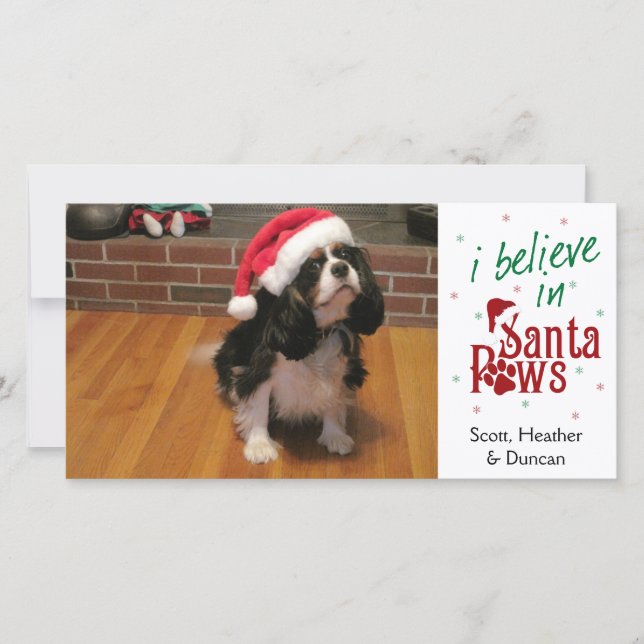 I Believe in Santa Paws Holiday Card (Front)