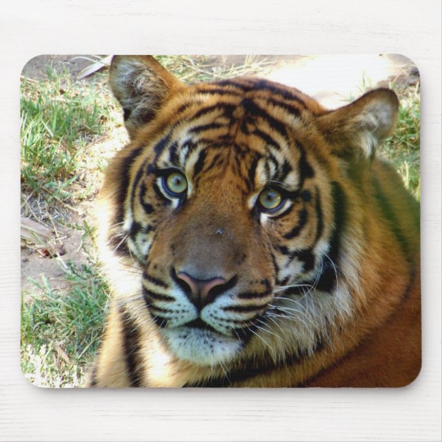 I Believe_ Mousepad_by Elenne Boothe Mouse Pad (Front)