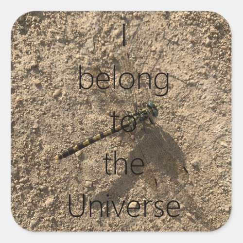 I belong to the Universe _ Sticker