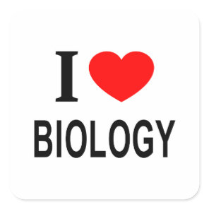 I ❤️ BIOLOGY I LOVE BIOLOGY I HEART BIOLOGY SQUARE STICKER