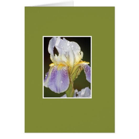 I Blossom with You Cards (Front)