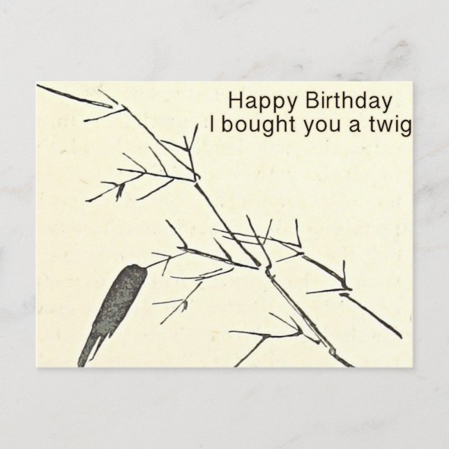 I Bought You a Twig Funny Birthday Card, Humorous Postcard (Front)