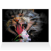 I Bought You Flowers then Ate Them (Inside Horizontal (Top))