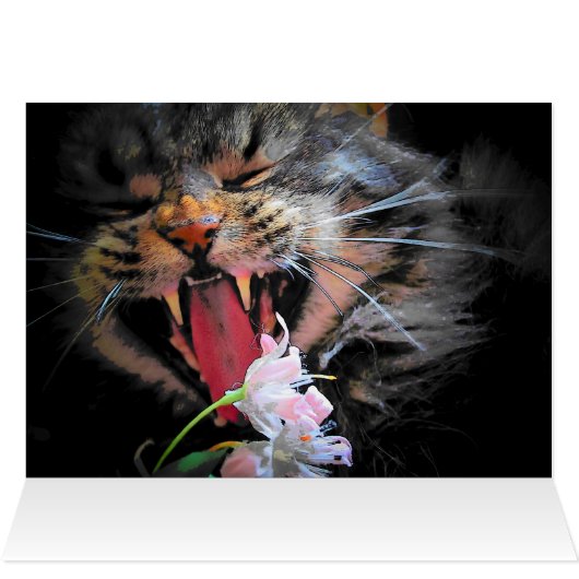 I Bought You Flowers then Ate Them (Inside Horizontal (Top))