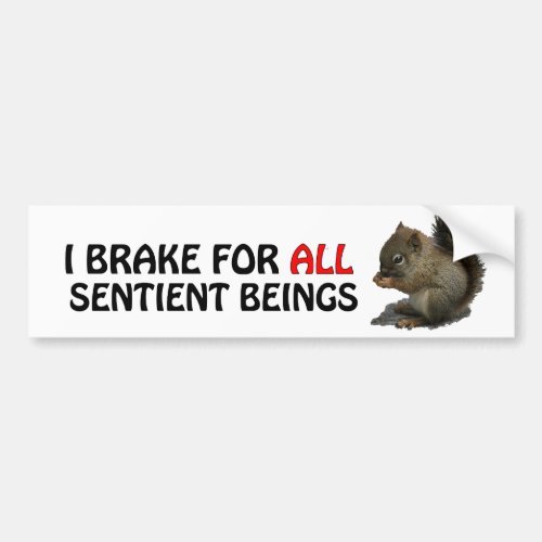 I BRAKE FOR ALL SENTIENT BEINGS Baby Squirrel Bumper Sticker