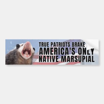 I Brake For America's Only Native Marsupial Bumper Sticker by Ouranoss at Zazzle