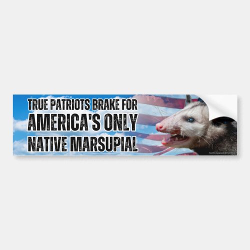I brake for Americas only native marsupial Funny Bumper Sticker