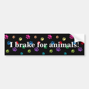 I Brake for Animals! Rainbow Painted Paws Black Bumper Sticker