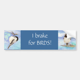 I brake for Birds - Birding Bumper Sticker