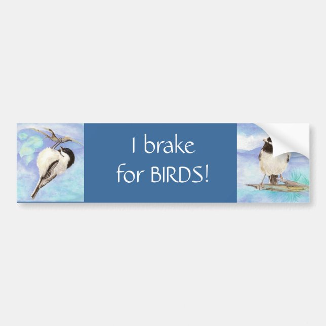 I brake for Birds - Birding Bumper Sticker (Front)