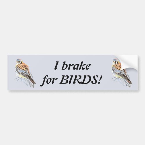 I brake for Birds _ Birding Kestrel Watercolor Bumper Sticker