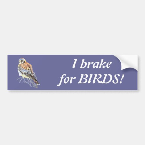 I brake for Birds _ Birding Kestrel Watercolor Bumper Sticker