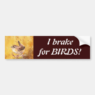 I brake for Birds - Birding with Cute Wren Art Bumper Sticker