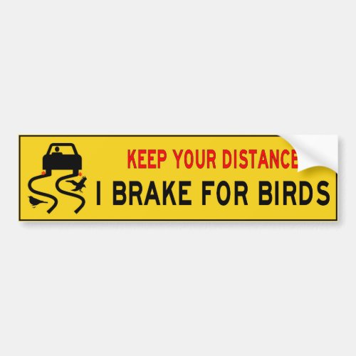 I brake for birds bumper sticker