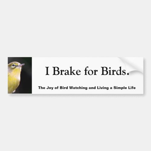 I Brake for Birds Bumper Sticker