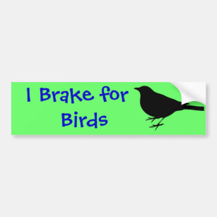 I Brake for Birds Bumper Sticker