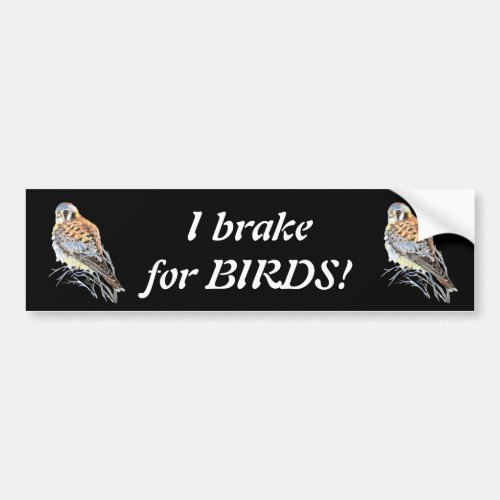I brake for Birds Kestrel or Falcon Watercolor Bumper Sticker