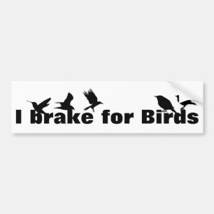 I Brake for Birds, Watercolor for Birders Bumper Sticker