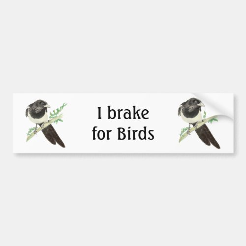 I Brake for Birds Watercolor Magpie for Birders Bumper Sticker