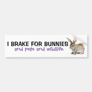 I Brake For Bunnies Bumper Sticker