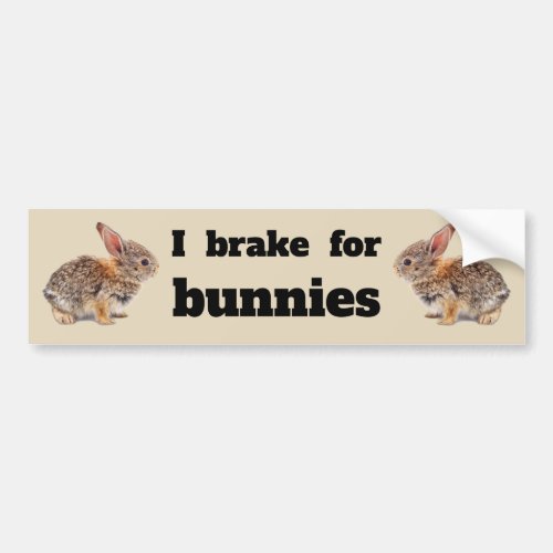 I Brake for Bunnies Bumper Sticker