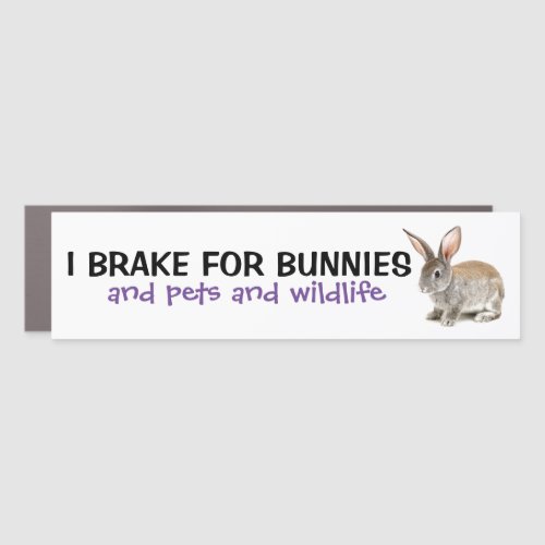 I Brake For Bunnies Car Magnet