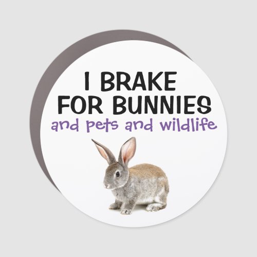 I Brake For Bunnies Car Magnet