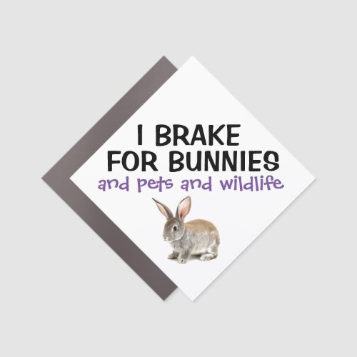 I Brake For Bunnies Window Magnet