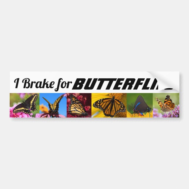 I Brake for Butterflies Bumper Sticker (Front)