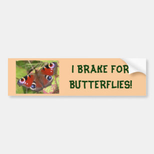 I BRAKE FOR BUTTERFLIES bumper sticker
