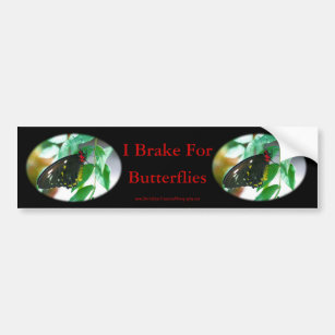 I Brake For Butterflies Nature Bumper Sticker #2
