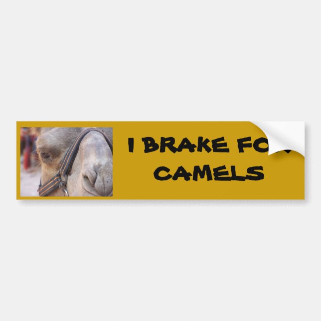I BRAKE FOR CAMELS BUMPER STICKER (Front)