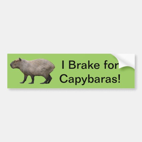 I Brake For Capybara Bumper Sticker