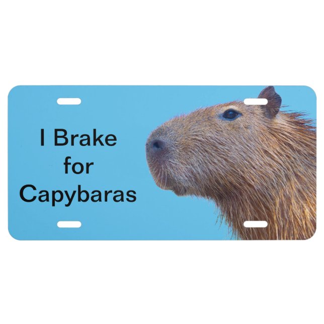 I Brake for Capybaras License Plate (Front)