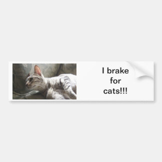 I Brake For Cats Bumper Sticker