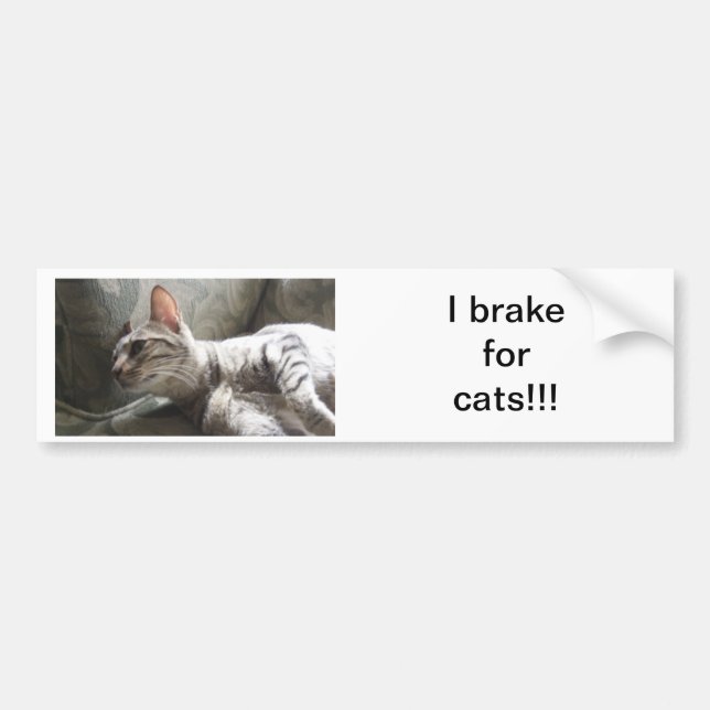 I Brake For Cats Bumper Sticker (Front)