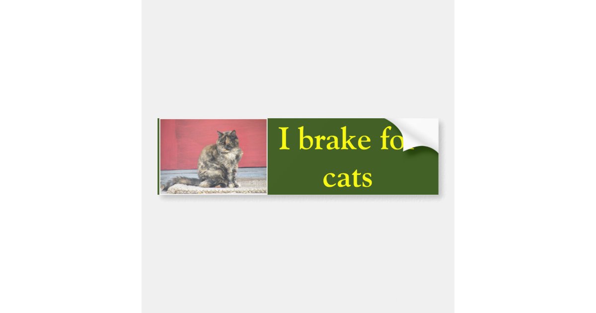 I brake for cats bumper sticker | Zazzle