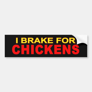 I brake for chickens bumper sticker