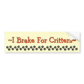 I Brake For Critters Bumper Sticker