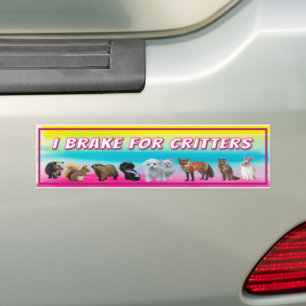 I Brake For Critters - Funny Woodland Critters Bumper Sticker