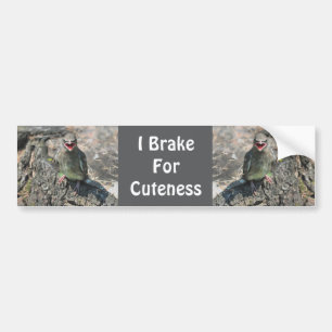I Brake For Cuteness Baby Bird Bumper Sticker