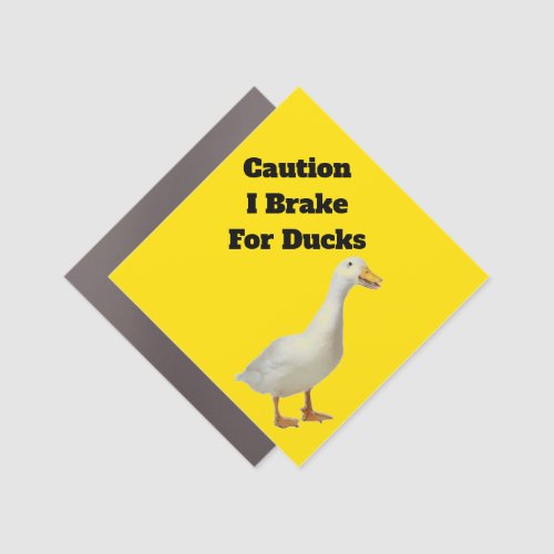I Brake For Ducks Car Magnet