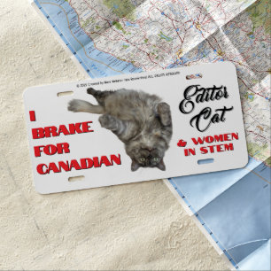 I BRAKE FOR EDITOR CAT by RoseWrites License Plate