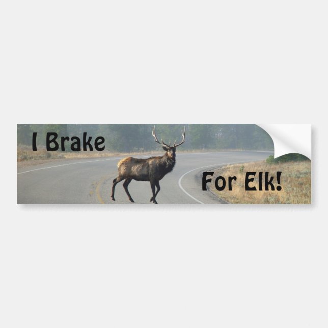 I Brake For Elk Bumper Sticker (Front)